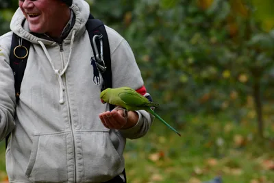 DSC_0481 (Large).JPG